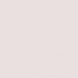 El Realito Terrain Map