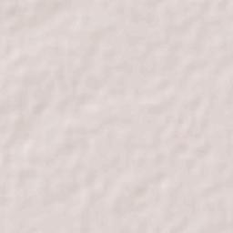 Corerepe Terrain Map