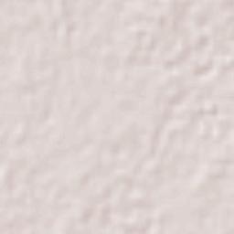 Pueblo Viejo Terrain Map