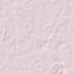 El Vergel Terrain Map