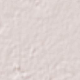 La Concha Terrain Map