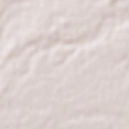 Valle de Vaquerías Terrain Map