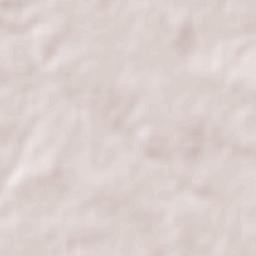 San Antonio Terrain Map