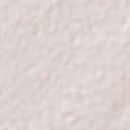 Estación Capomas Terrain Map