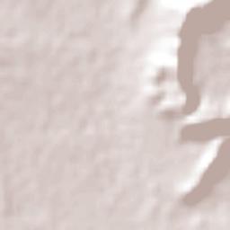 San Pedro del Gallo Terrain Map