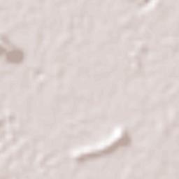 Gómez Palacio Terrain Map