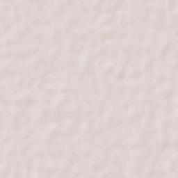 El Consuelo Terrain Map