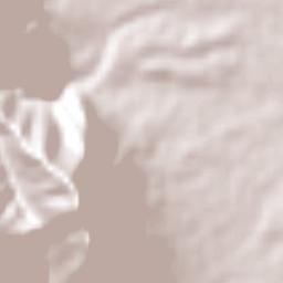 Bosques de San Pedro Terrain Map