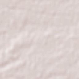 Dieciséis de Septiembre Terrain Map