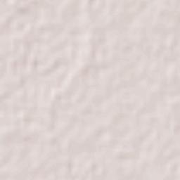 Guasavito Terrain Map