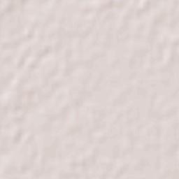 El Burrión Terrain Map