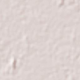 Torreón Terrain Map