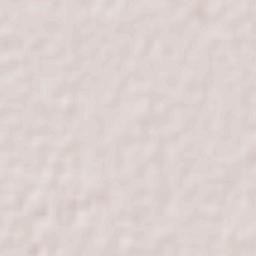 Fraccionamiento la Noria Terrain Map