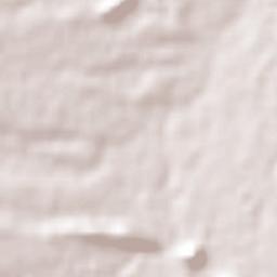 Ramos Arizpe Terrain Map