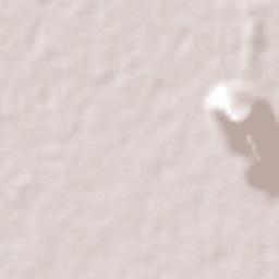 Juan E. García Terrain Map