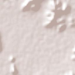 León Guzmán Terrain Map