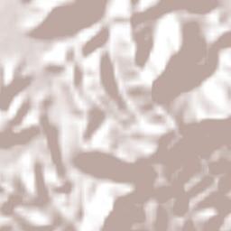 El Huarache (El Guarache) Terrain Map