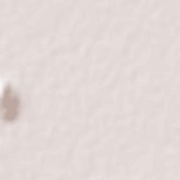 Bhilwara Terrain Map