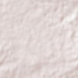 Mocorito Terrain Map