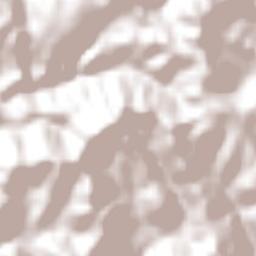 Tepehuanes Terrain Map