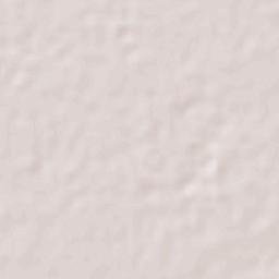 Santo Niño Aguanaval Terrain Map