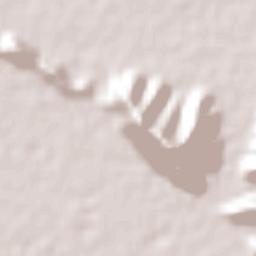 Las Mieleras Terrain Map