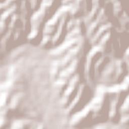 Santa Catarina de Tepehuanes Terrain Map