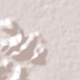 Boquilla de las Perlas Terrain Map