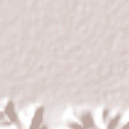 Ejido Venustiano Carranza Terrain Map