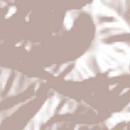 Puerto Genovevo Santiago Terrain Map