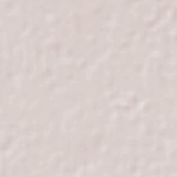 General Lázaro Cárdenas Terrain Map