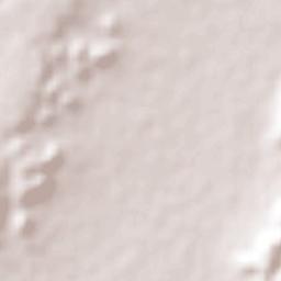 El Nogalito Terrain Map