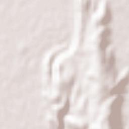 Jamalpur Terrain Map