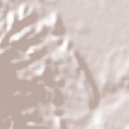 La Boquilla Terrain Map