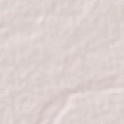 General Terán Nuevo León Terrain Map