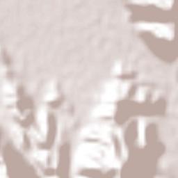 San José de Zaragoza Terrain Map