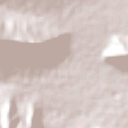 Huachichil Terrain Map