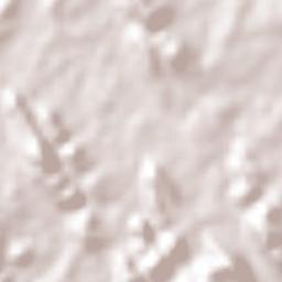 Lomas de San Francisco Terrain Map