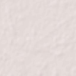 Bikramganj Terrain Map