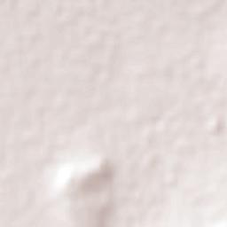 Agua Nueva Terrain Map