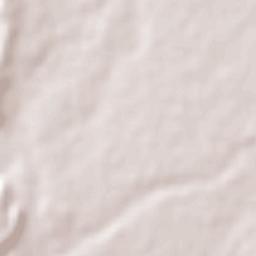 Montemorelos Terrain Map