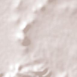 Los Ángeles Nuevo León Terrain Map