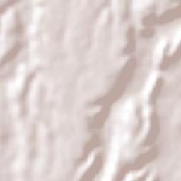 El Pastor Terrain Map