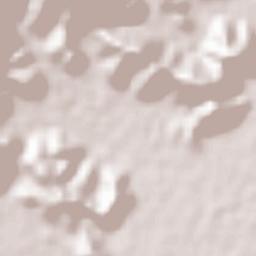 Al Fujairah Municipality Terrain Map