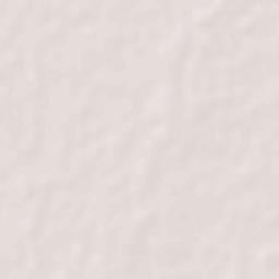 Asarganj Terrain Map