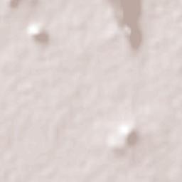 Potrero de los Sánchez (Estación Techa) Terrain Map