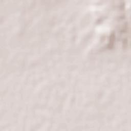 Francisco I. Madero Terrain Map