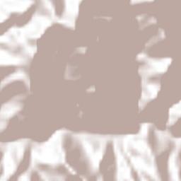 Tamazula Terrain Map