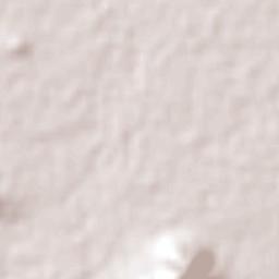 José María Morelos Terrain Map