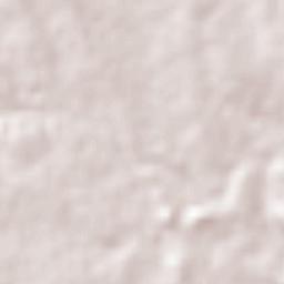 La Arena Terrain Map